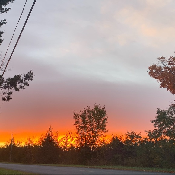 Meet your Posher, Sam - Picture 1 of 1